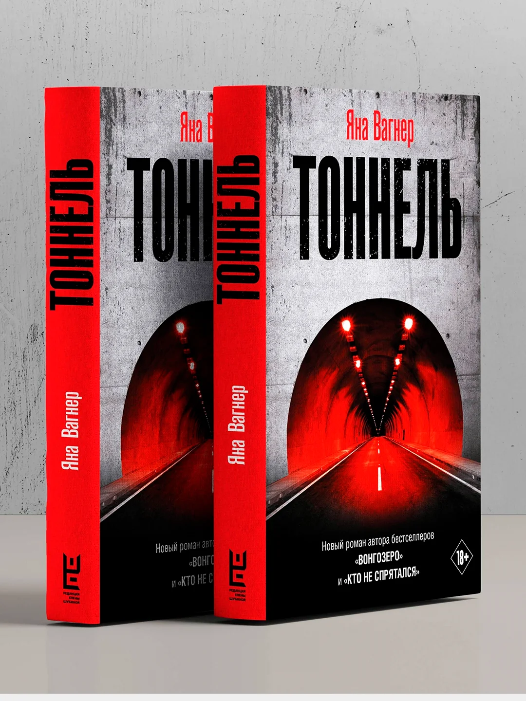 Книга АСТ Тоннель
