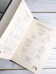 Книга АСТ Связанные честью