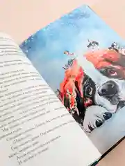 Книга АСТ Собаки и другие люди
