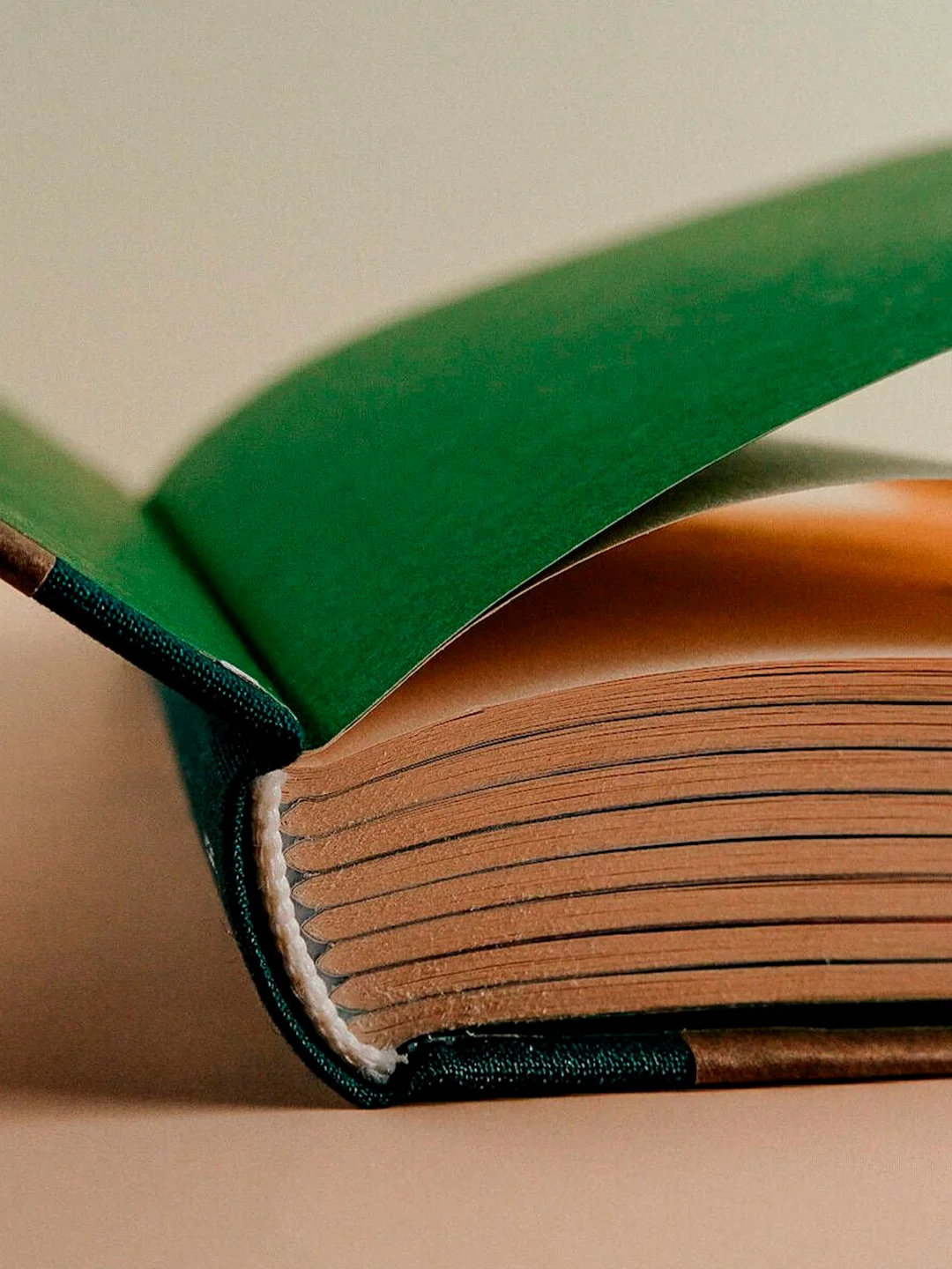 Книга АСТ Собаки и другие люди