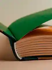 Книга АСТ Собаки и другие люди