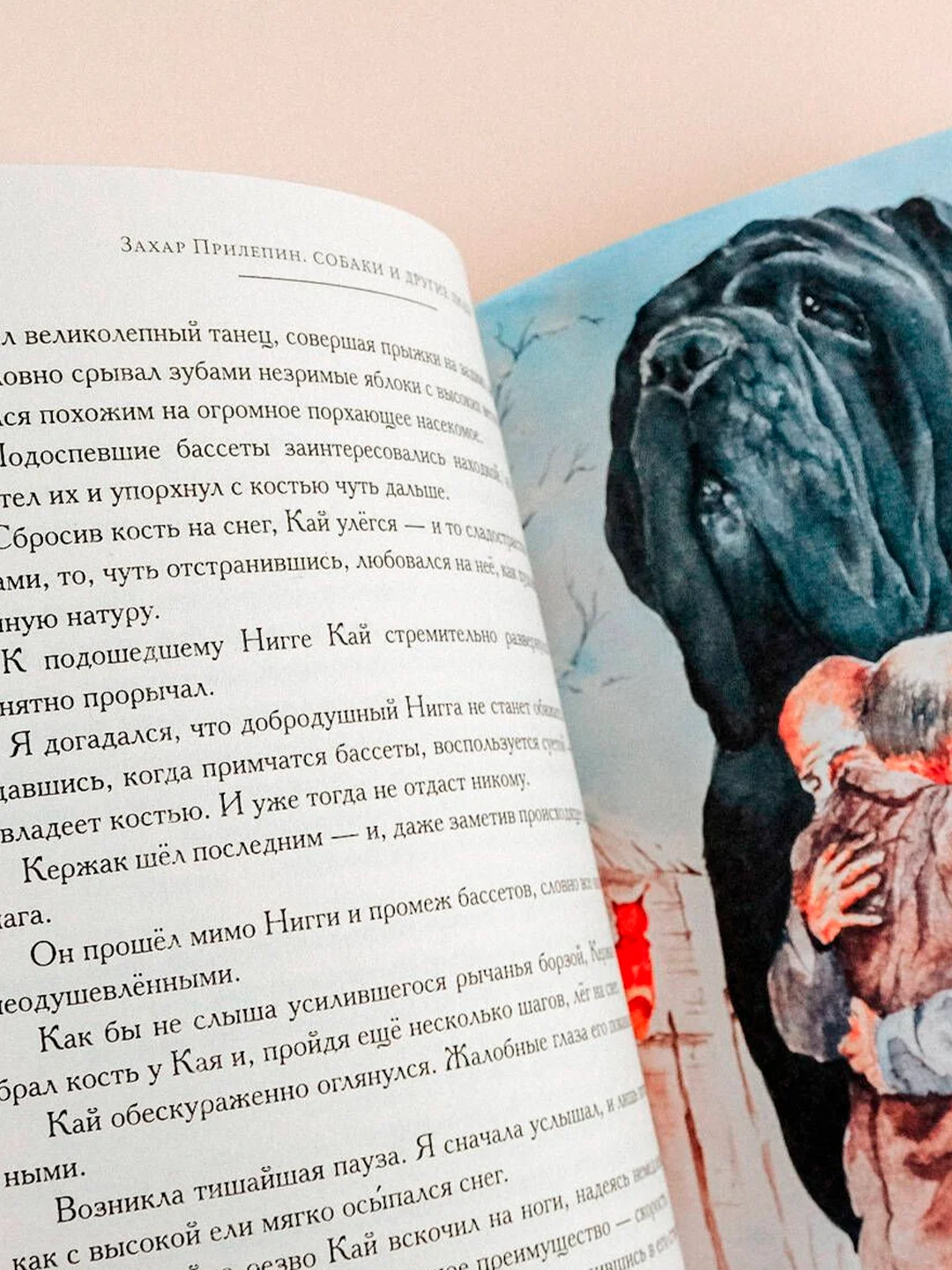 Книга АСТ Собаки и другие люди