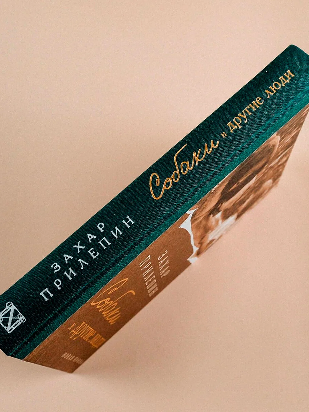 Книга АСТ Собаки и другие люди