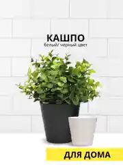 Кашпо черное / белое, разные размеры