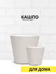 Кашпо черное / белое, разные размеры
