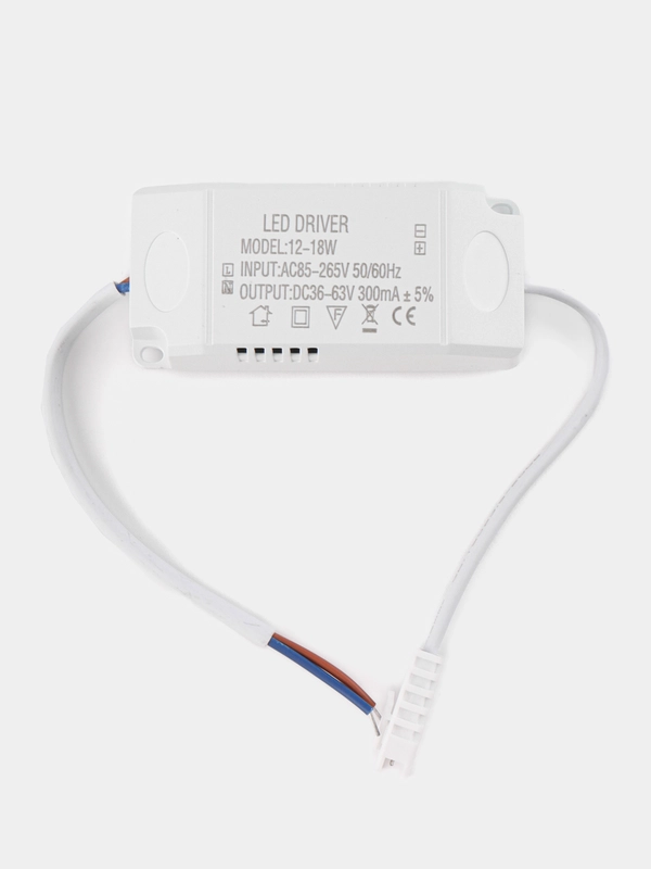Драйвер Led Driver вх220V вых300ma  12-18W в корпусе