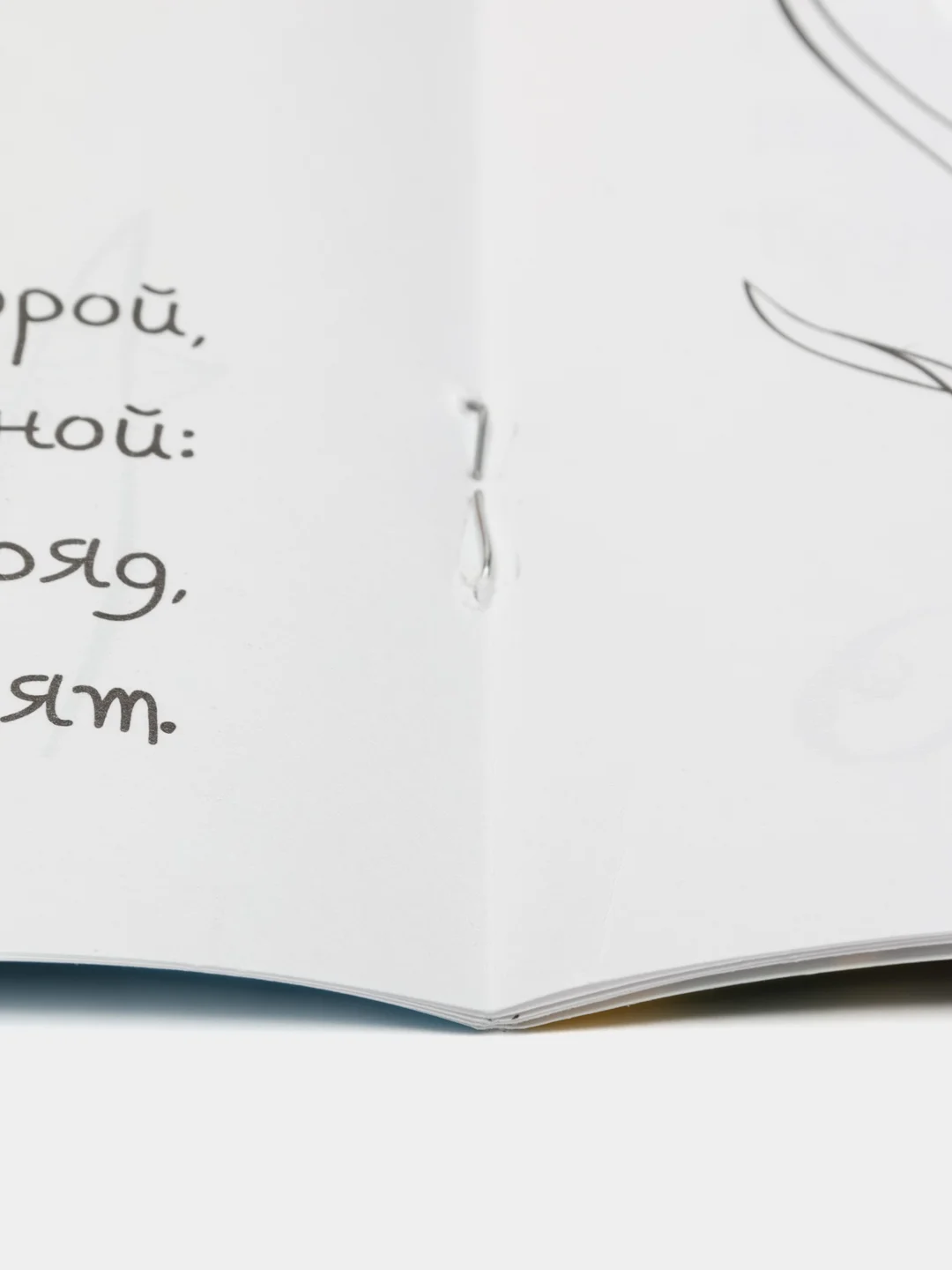 Ледяной раскраски серия "Посмотри и раскрась": Фрукты, Овощи, Ягоды, Цветы