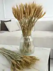 Колосья пшеницы сухоцвет