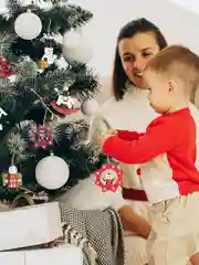 Алый набор ёлочных украшений, новогодние украшения, игрушки на елку из дерева