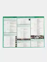 Лайм плакат История Обществознание Право Культура Архитектура Реформы ГИА ОГЭ ЕГЭ. 6 - 11 класс