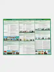 Салатовый плакат История Обществознание Право Культура Архитектура Реформы ГИА ОГЭ ЕГЭ. 6 - 11 класс