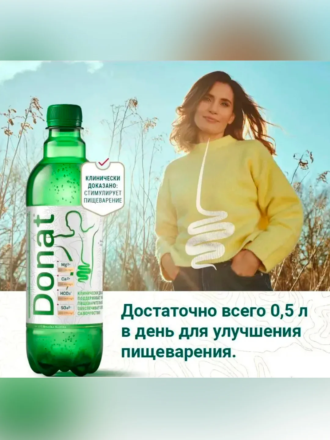 Вода минеральная лечебно-столовая Donat Mg газированная 1л ПЭТ