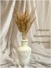 Бежевый набор сухоцветов, букет сухоцвета "Пампасная трава"
