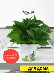 Кактус Цветочный горшок  с автополивом /  фитильный полив/ гидрофильный ленивый горшок