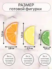 Силиконовая форма молд для шоколада "Дольки цитрусовых"