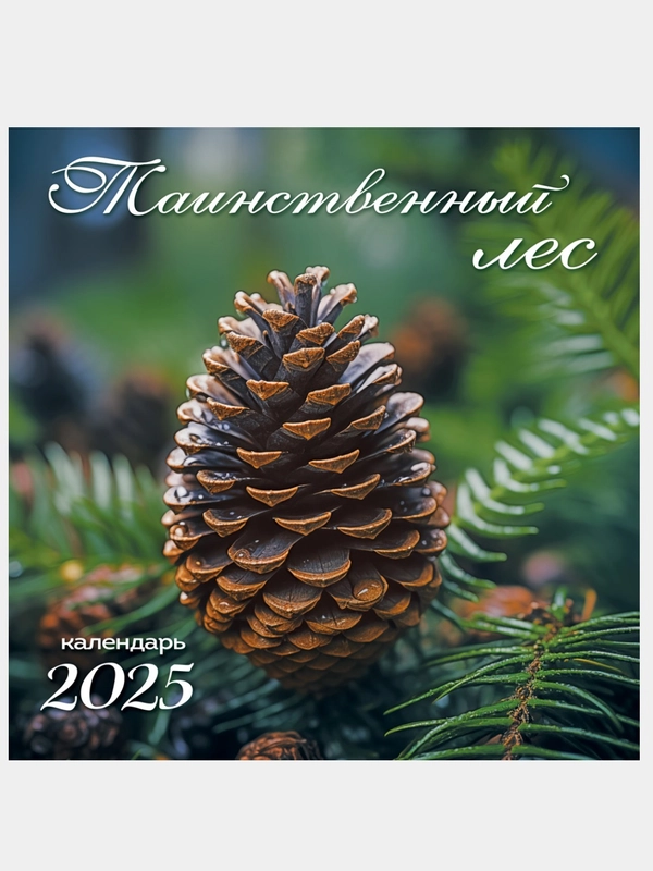 Большой.Перекидной настенный календарь на скрепке на 2025 год. более 20 видов