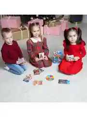 Настольная игра Новогодняя викторина Умная Сова Bondibon развивающие логические игры