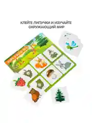 Развивающая игра на липучках для детей с карточками Bondibon