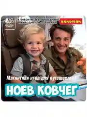 Магнитная игра для детей "Ноев ковчег" Bondibon логическая развивающая игрушка головоломка