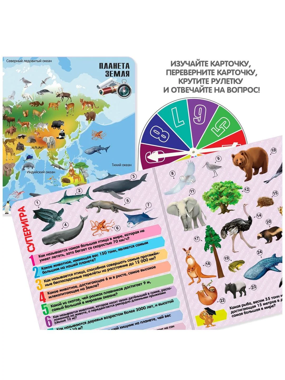 Настольная игра викторина УВЛЕКАТЕЛЬНЫЙ МИР ЖИВОТНЫХ И ПРИРОДЫ Умная Сова Bondibon