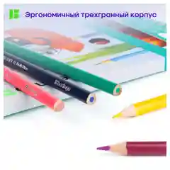 Карандаши цветные Berlingo "SuperSoft. Жил-был кот", 36цв., трехгран., европодвес