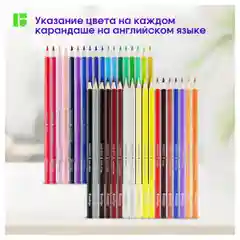 Карандаши цветные Berlingo "SuperSoft. Жил-был кот", 36цв., трехгран., европодвес