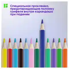Карандаши цветные Berlingo "SuperSoft. Жил-был кот", 36цв., трехгран., европодвес