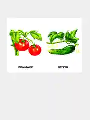 Сиреневые книжки (F) - Овощи, фрукты, ягоды