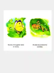 Сиреневые книжки (F) - Что сначала?