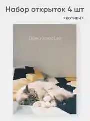 Набор открыток "Котики" набор 4 штуки А6