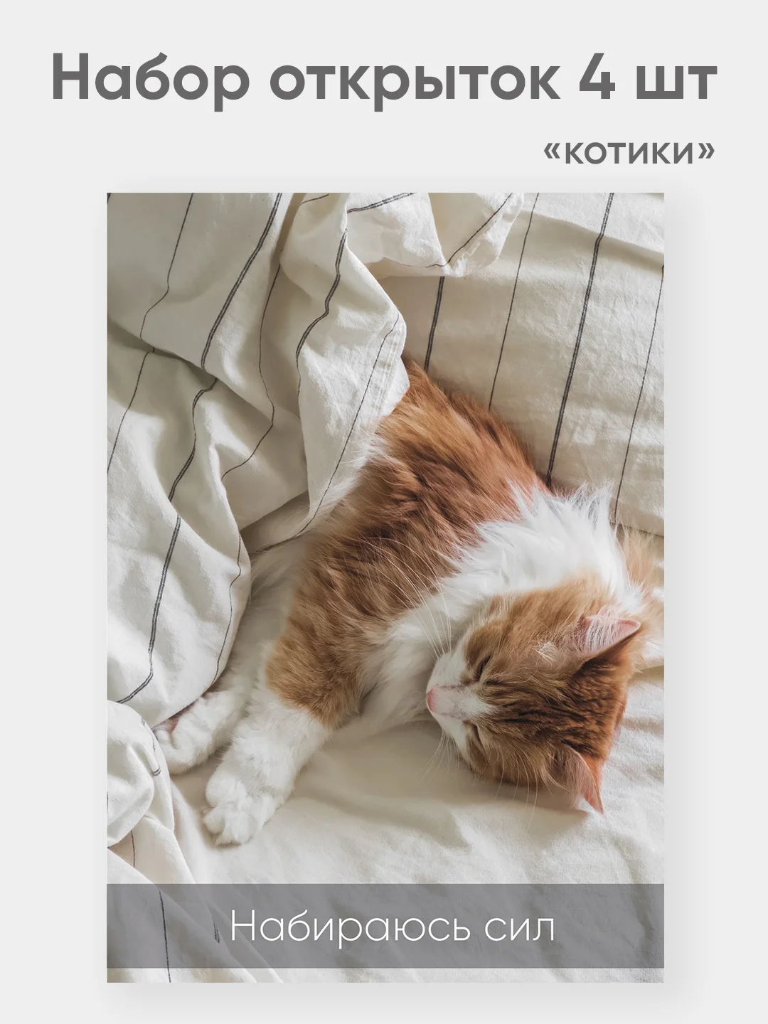 Набор открыток "Котики" набор 4 штуки А6