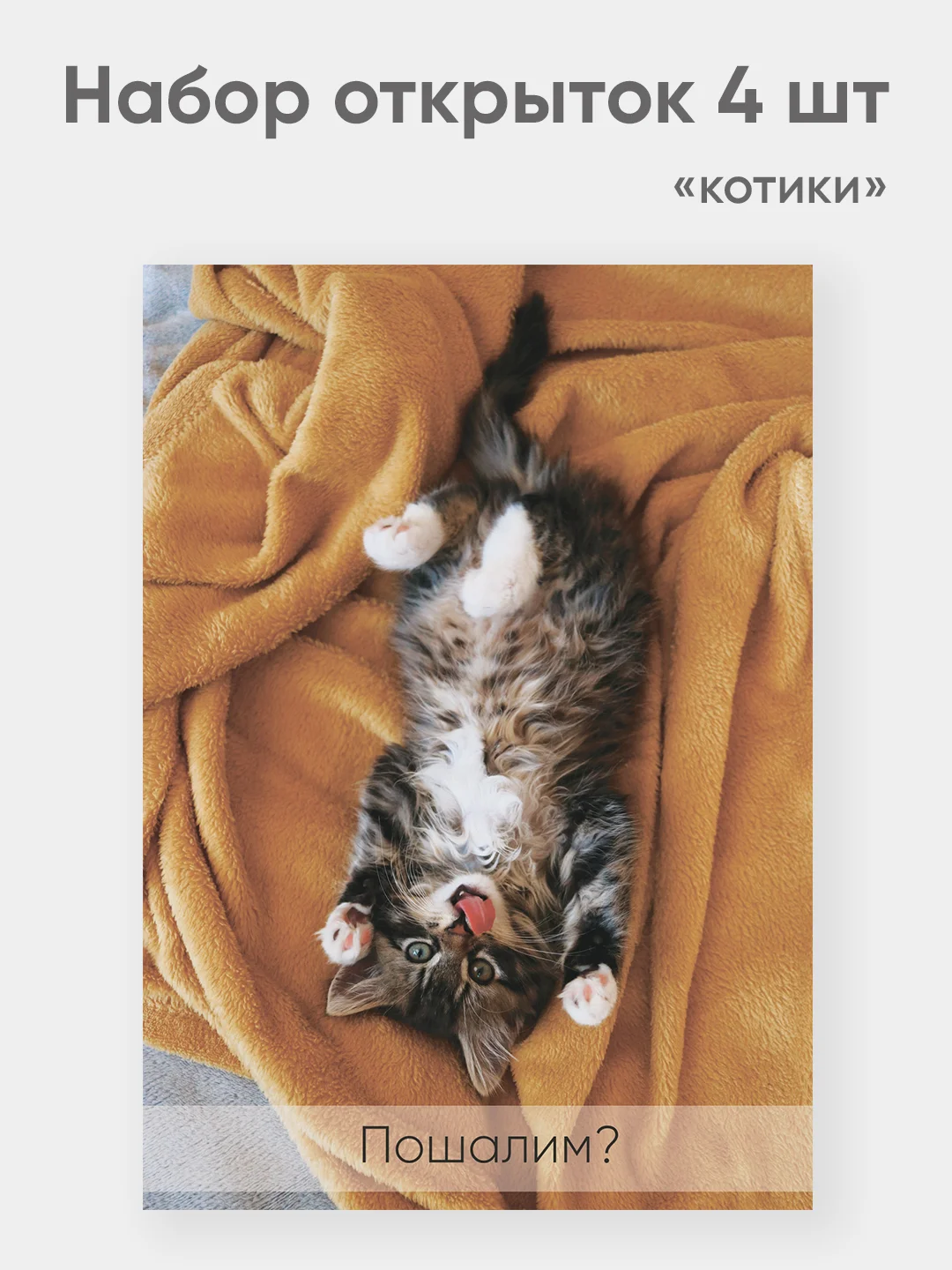 Набор открыток "Котики" набор 4 штуки А6