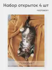 Набор открыток "Котики" набор 4 штуки А6