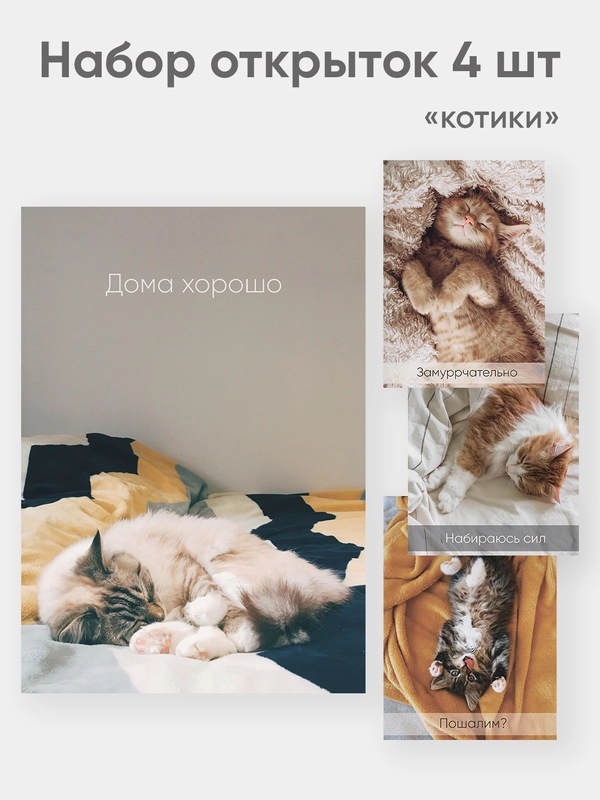 Набор открыток "Котики" набор 4 штуки А6