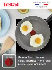 Серый сковорода 22 см Tefal Natural Cook 04213122, глубокая