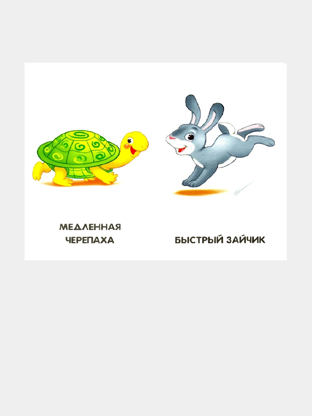 Сиреневые книжки (F) - Такие разные