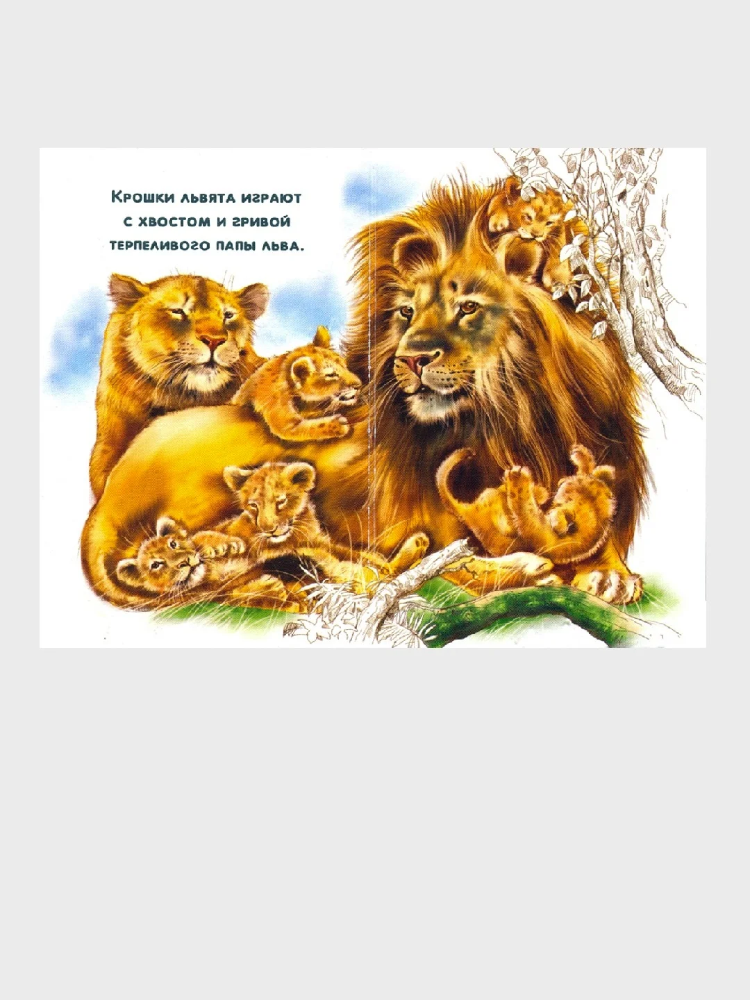 Сиреневые книжки (F) - Мама и малыши. Дикие животные