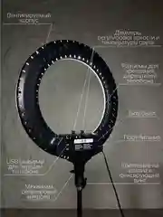Кольцевая лампа RL-21 профессиональная кольцевая LED-лампа, 54 см +усиленый штатив ЗЕНИТ