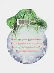 Зеленый открытка - мини, Набор 5 шт. 10 шт. День рождения С новым годом, Поздравляю бирка на цветы