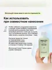 Набор RICHE, для роста и защиты волос, 150 мл, 118 мл
