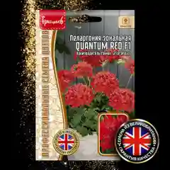Пеларгония зональная Quantum Red F1 (семена,цветы)