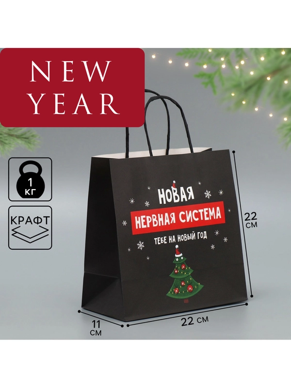 Пакет подарочный новогодний, 22 х 22 х 11 см