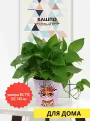 Розовый кот Цветочный горшок  с автополивом / фитильный полив/ гидрофильный ленивый горшок