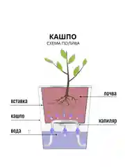 Розовый кот Цветочный горшок  с автополивом / фитильный полив/ гидрофильный ленивый горшок
