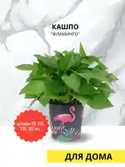 Фламинго Цветочный горшок с автополивом /  фитильный полив/ гидрофильный ленивый горшок