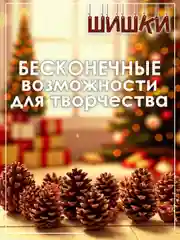 Шишки сосновые натуральные 5/10/15 штук, для поделок и новогоднего оформления