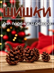 Шишки сосновые натуральные 5/10/15 штук, для поделок и новогоднего оформления