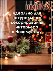 Шишки сосновые натуральные 5/10/15 штук, для поделок и новогоднего оформления