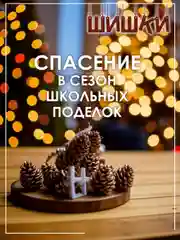 Шишки сосновые натуральные 5/10/15 штук, для поделок и новогоднего оформления