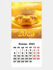 Коралловый календарь 2025 магнитный, отрывной
